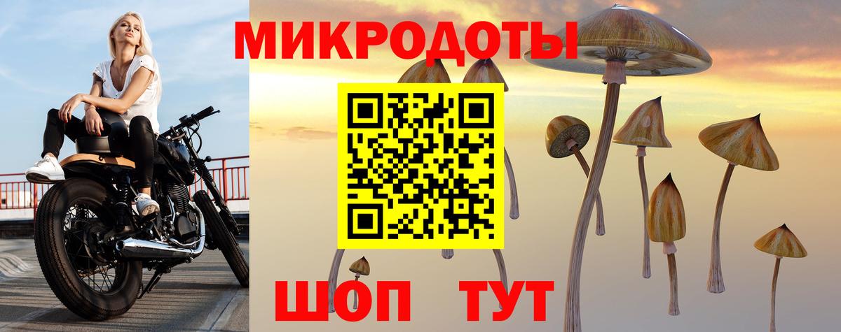 Гуково  Галлюциногенные грибы Psilocybine cubensis  Вход с VPN  где можно купить наркотик  Галлюциногенные грибы Psilocybine cubensis 